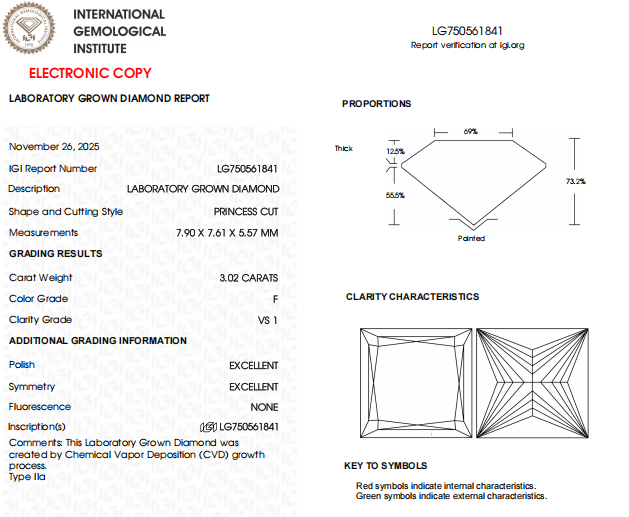 3 CT Princess Cut Lab Created Diamond For Engagement Ring | Anniversary Gift