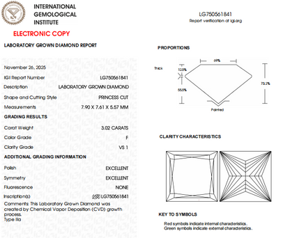 3 CT Princess Cut Lab Created Diamond For Engagement Ring | Anniversary Gift