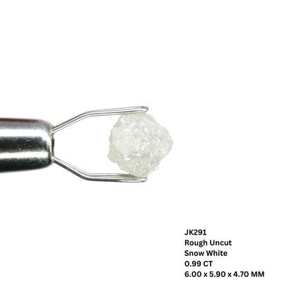 0.99 CT Rough Uncut Snow White Diamond For Halo Set Ring | Engagement Ring | Gift For Girl Friend - JayKrishna Diamond