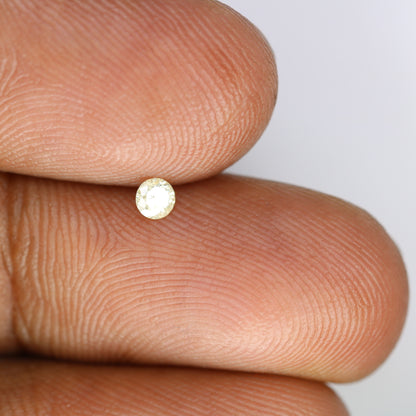 0.11 CT Natural Light Yellow Round Brilliant Cut Salt and Pepper Diamond for Engagement Rings, Custom Jewelry and Chic Bracelets - JayKrishna Diamond