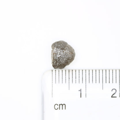 1.72 CT Rough Grey Irregular Shape Raw Diamond For Engagement Ring - JayKrishna Diamond