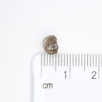 1.73 Carat Brown Color Natural Loose Raw Rough Diamond For Wedding Ring - JayKrishna Diamond