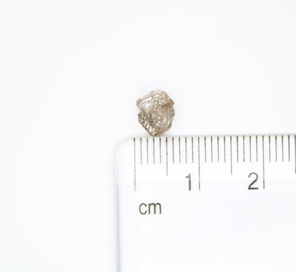 1.48 CT Light Brown Rough Raw Uncut Diamond For Engagement Ring - JayKrishna Diamond