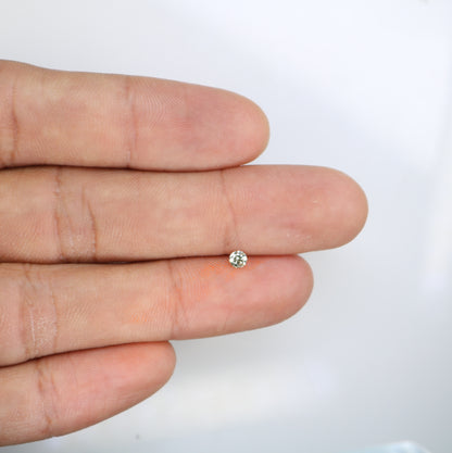 0.13 CT Natural Round Brilliant Cut Light Yellow Salt and Pepper Diamond – Loose Gemstone for Custom Jewelry - JayKrishna Diamond