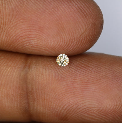 0.09 CT Natural Light Yellow Round Brilliant Cut Salt and Pepper Diamond for Custom Engagement Rings & Unique Jewelry - JayKrishna Diamond