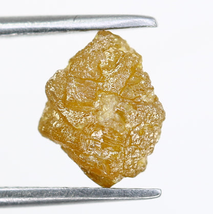 1.62 CT Dark Yellow Raw Irregular Cut  Rough Diamond For Engagement Ring - JayKrishna Diamond