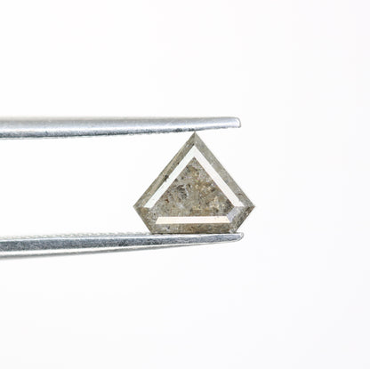 1.00 CT Diamond Shape Salt And Pepper Natural Diamond For Engagement Ring - JayKrishna Diamond